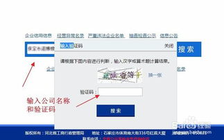 全國(guó)企業(yè)信息查詢?nèi)ヂ?權(quán)威渠道與方法詳解